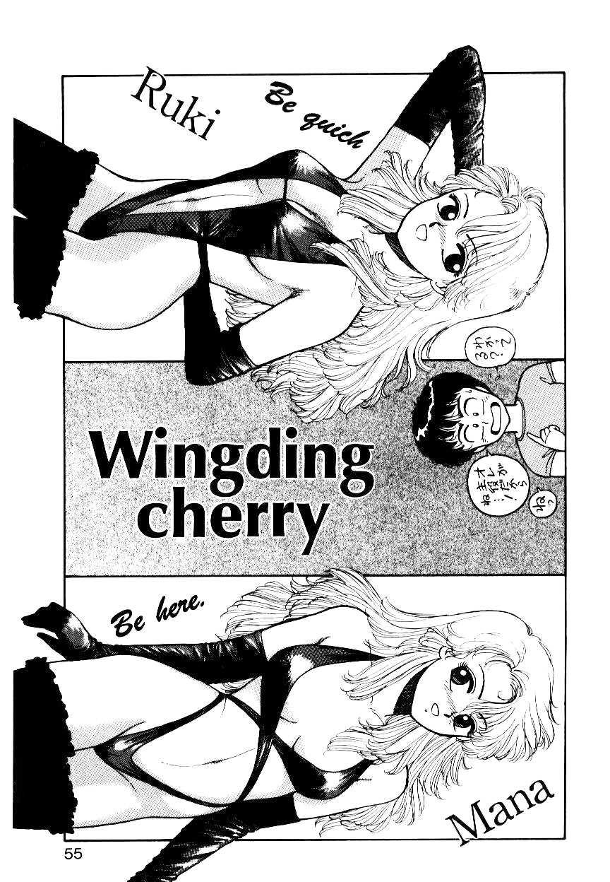 Wingding Party 52
