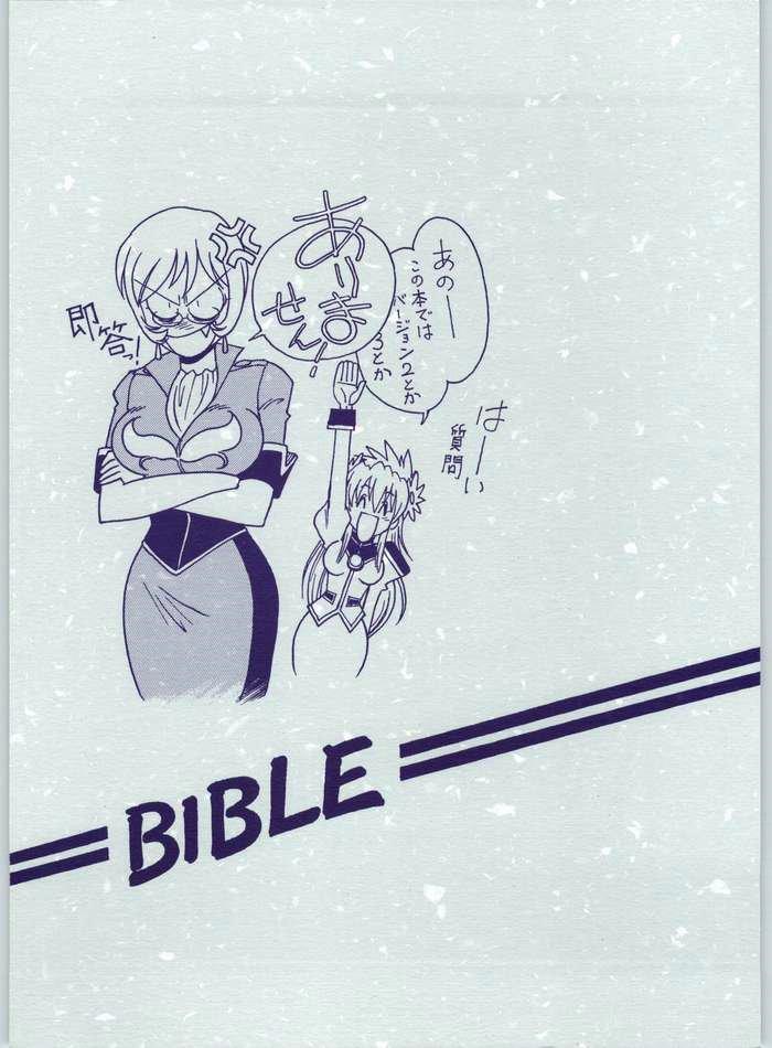 Galaxy Angel - Kyouaku-teki Shidou 13 (Bible) 25