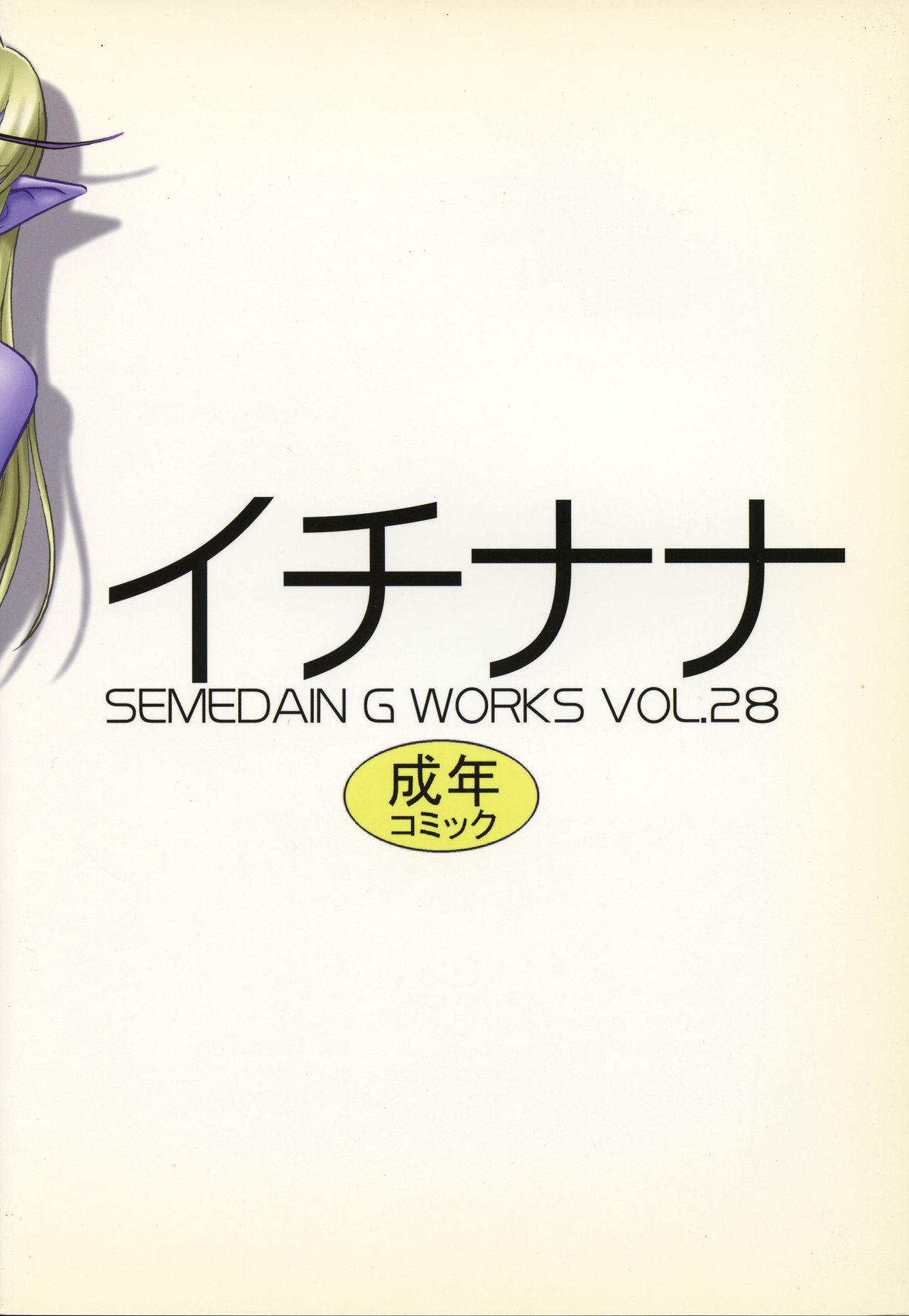 SEMEDAIN G WORKS Vol. 28 - Ichinana 29