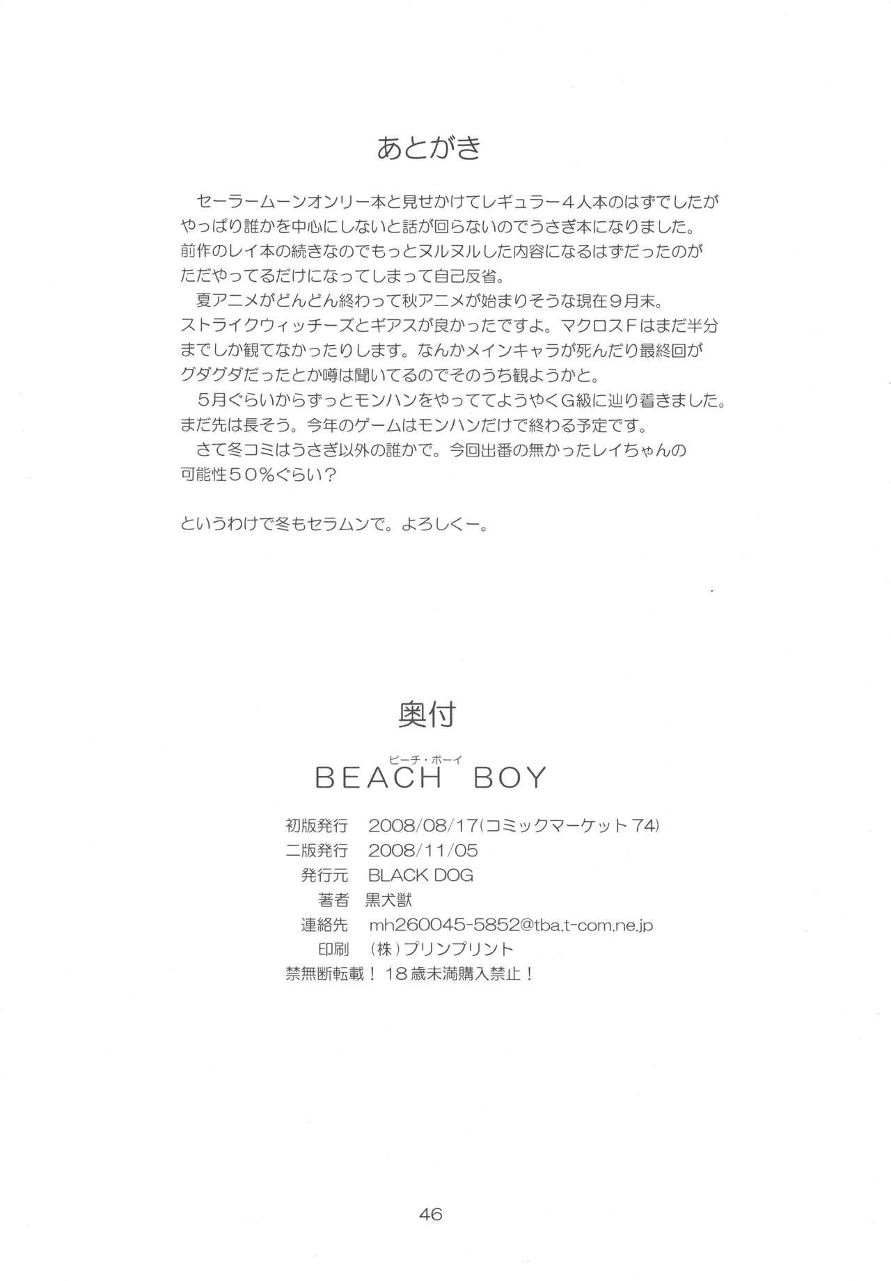 BEACH BOY 43