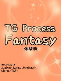 TG Process Fantasy 2