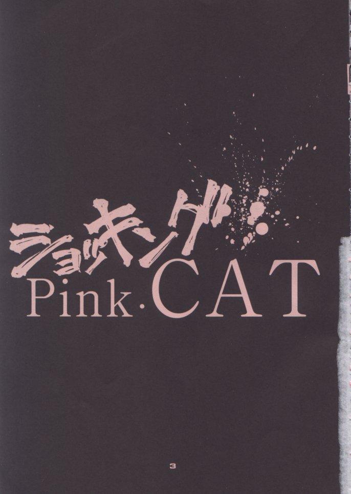 Shocking Pink-Cat 2