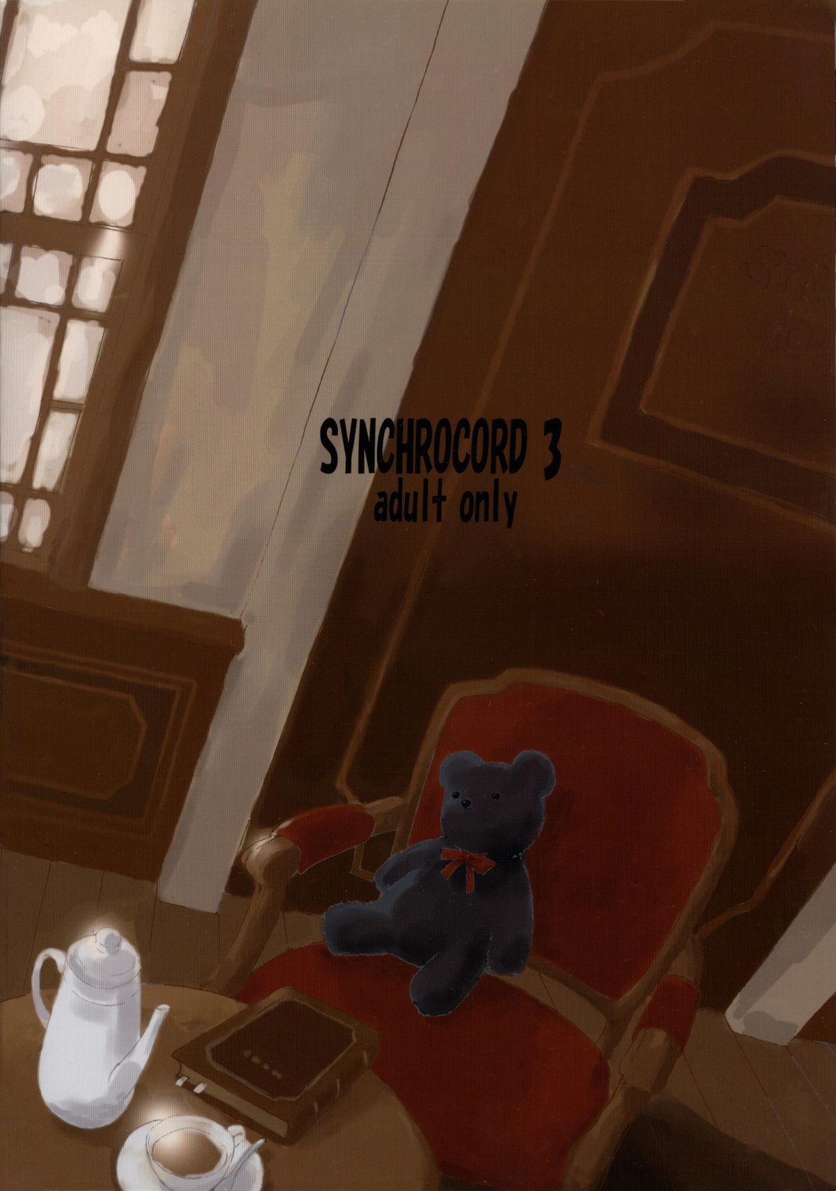 SYNCHROCORD 3 41