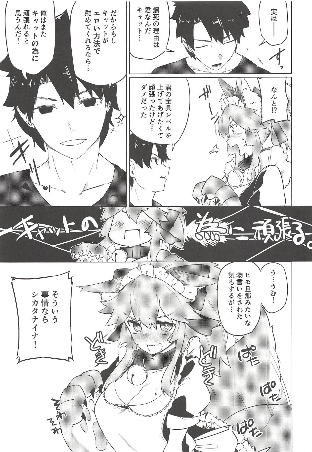 Handsome Cat Therapy nado Dou kana? Goshujin. - Fate grand order Hermana - Page 6