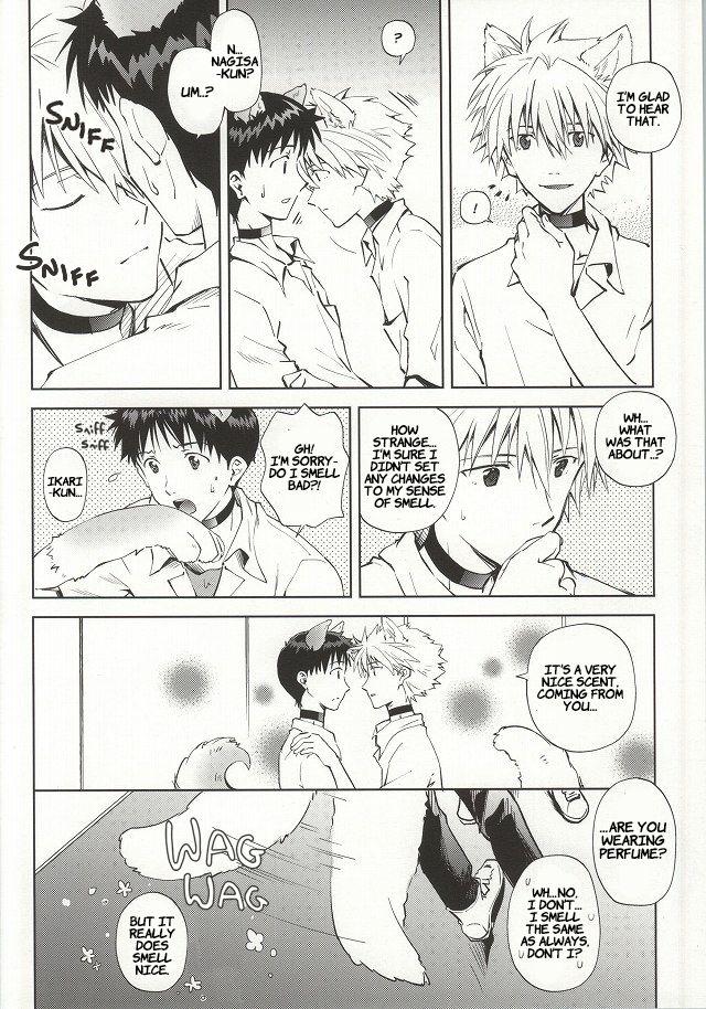 Pierced Wanko na Kareshi Otonamuke - Neon genesis evangelion Que - Page 5