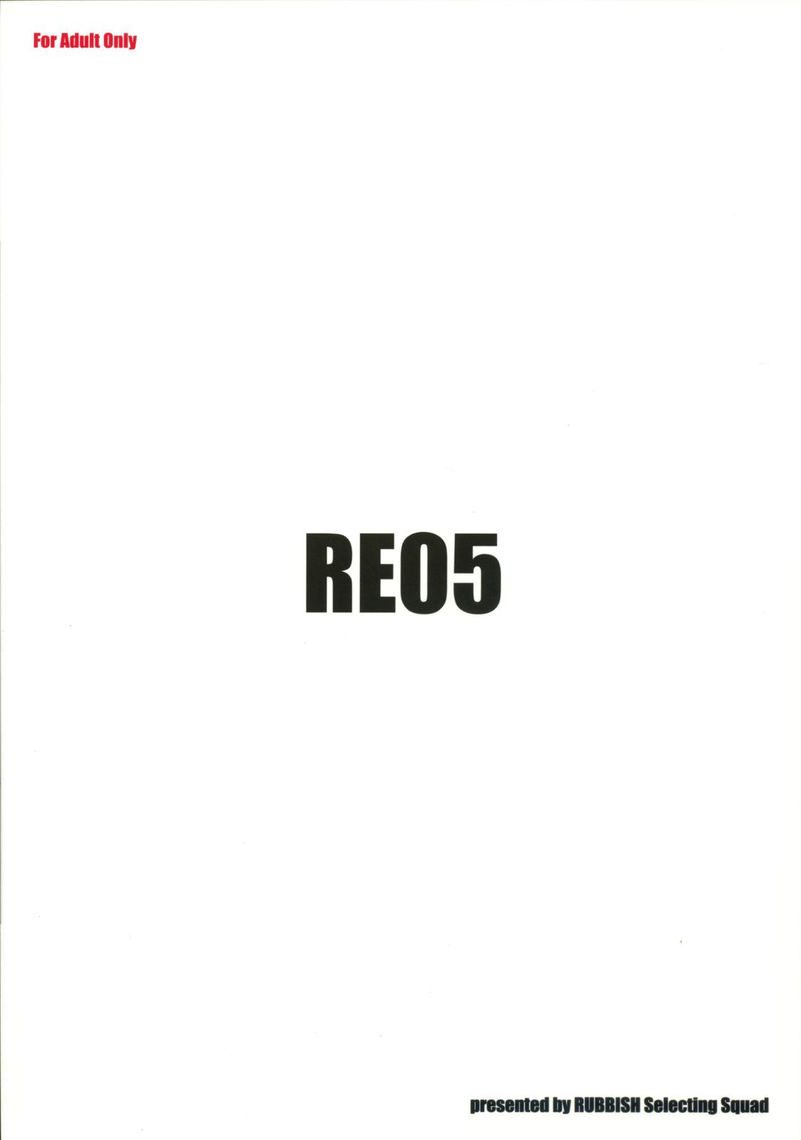 RE 05 33