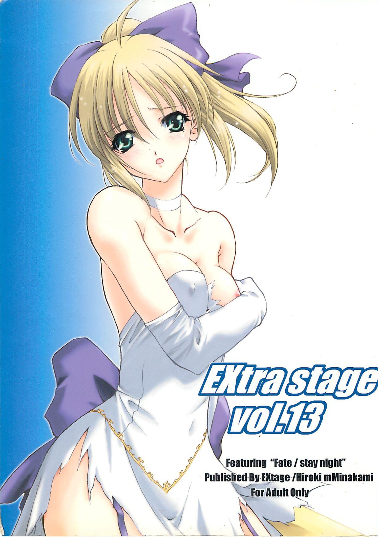 Interracial Porn EXtra stage vol. 13 - Fate stay night Secret - Picture 1