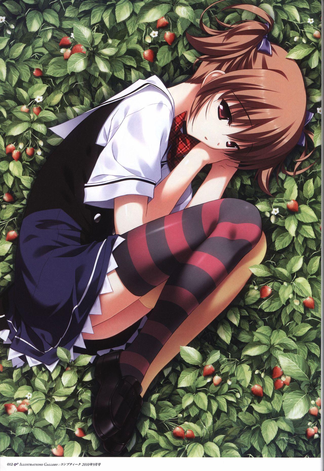 The Fruit of Grisaia Visual FanBook 12