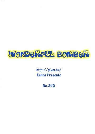 Wonderful Bomber 2