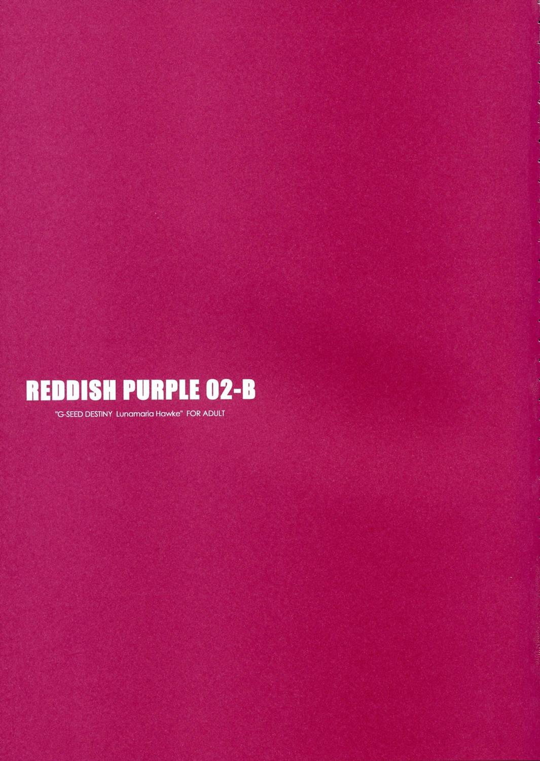 REDDISH PURPLE-02B 1