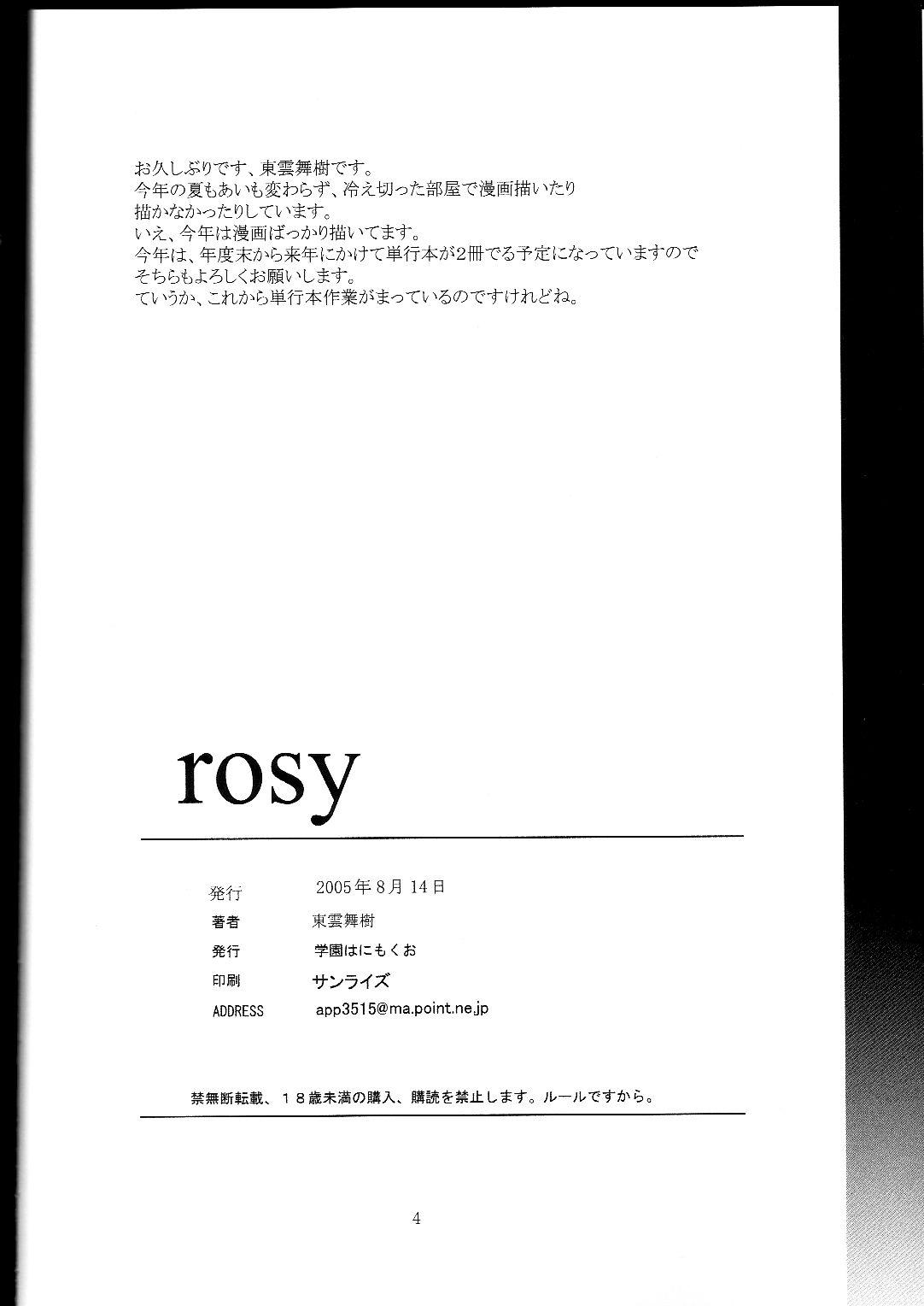 Gaygroupsex rosy - Gundam seed destiny Punk - Page 3