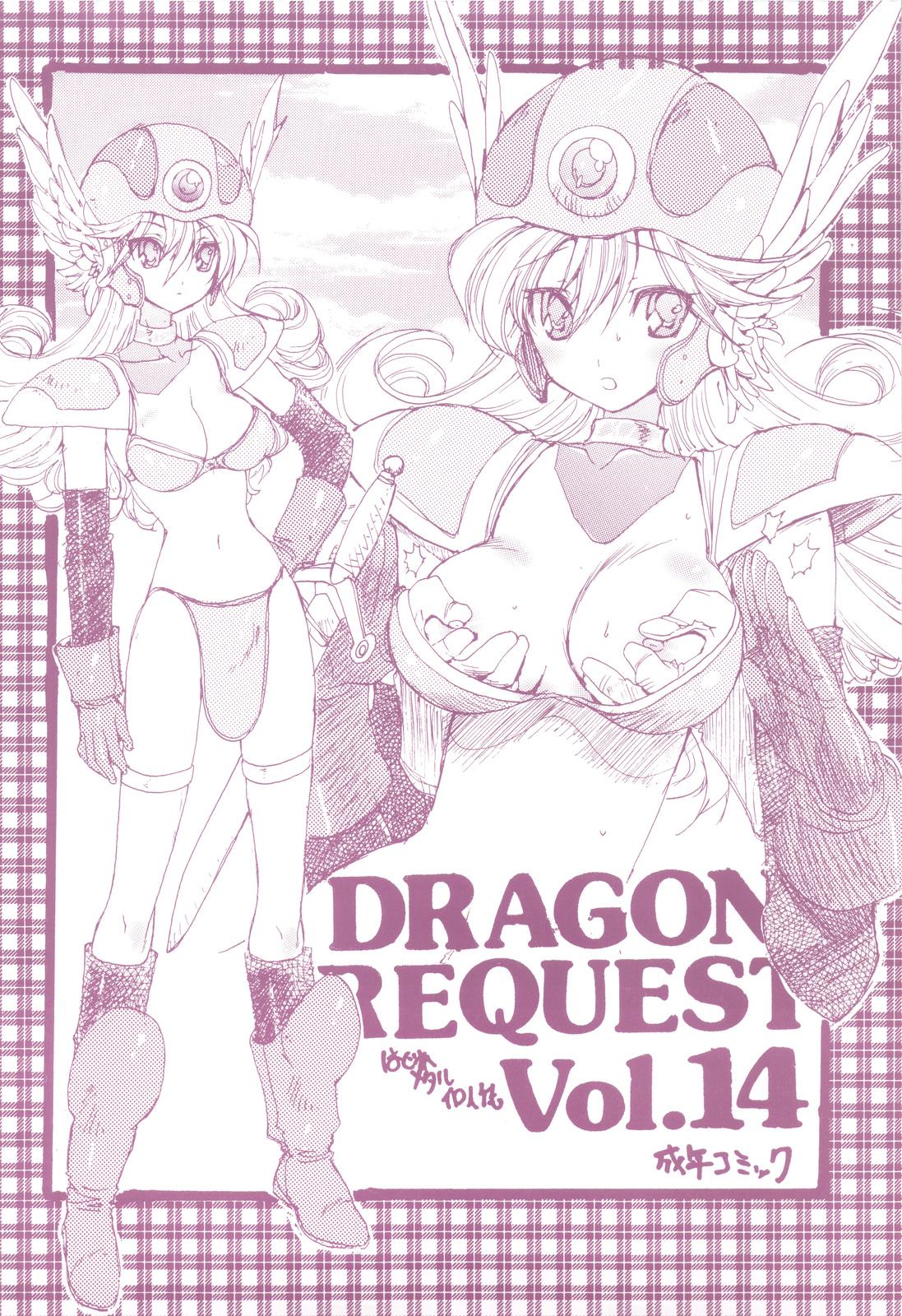 DRAGON REQUEST Vol.14 0