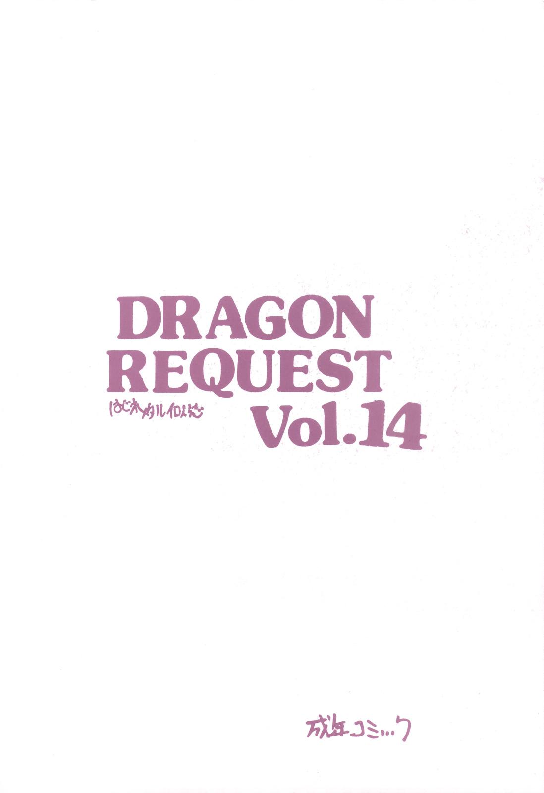 DRAGON REQUEST Vol.14 17
