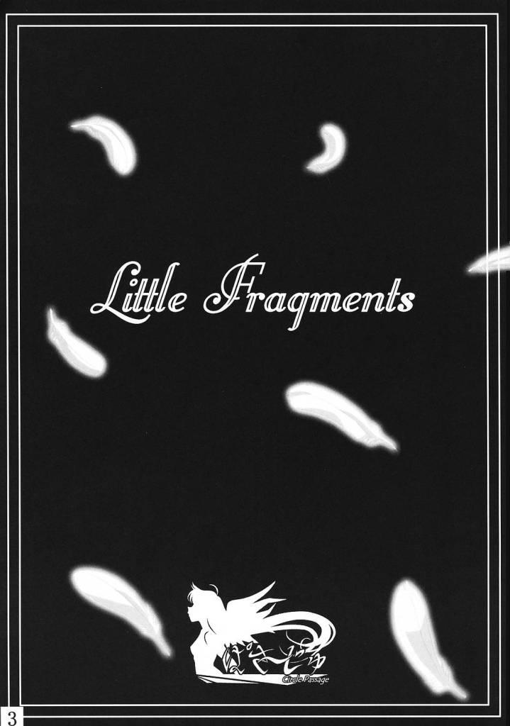 Little Fragments 1