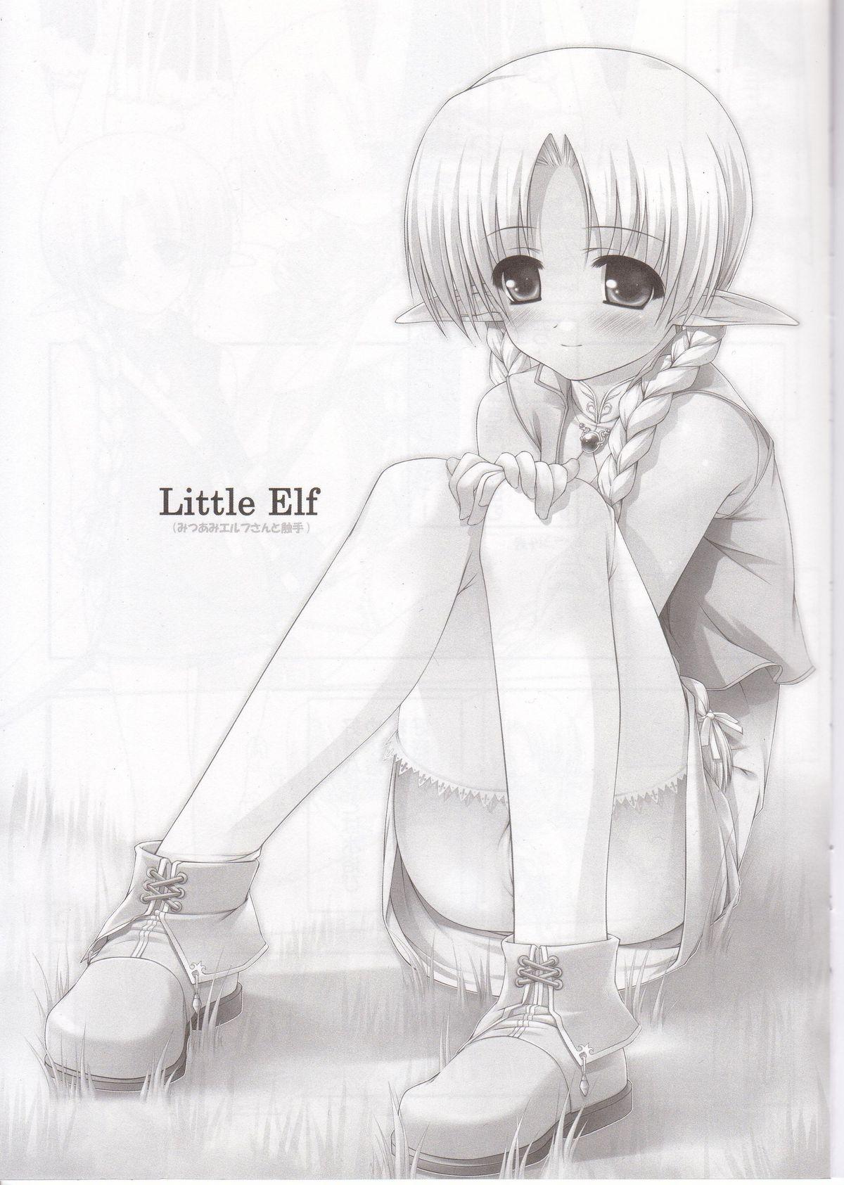 Little Elf 2