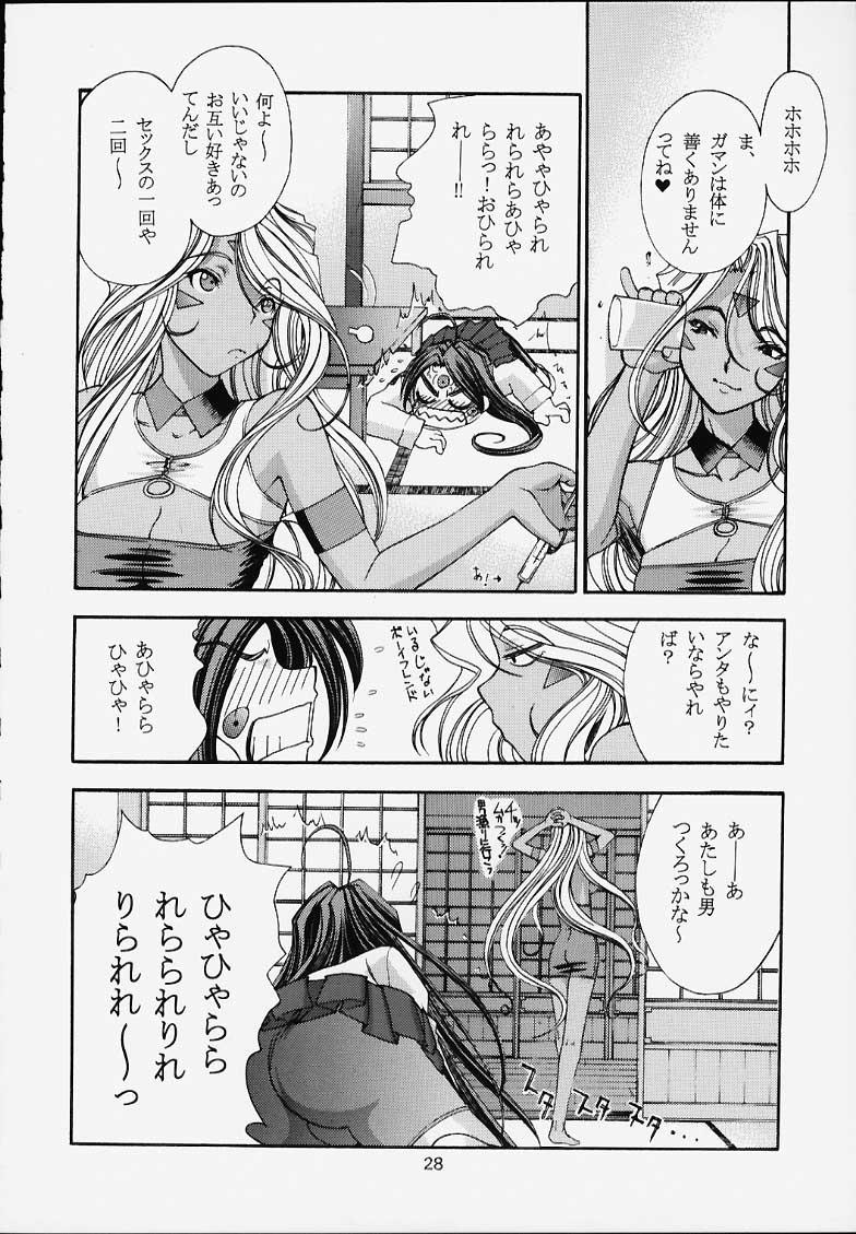 Shumi no Doujinshi 12 28