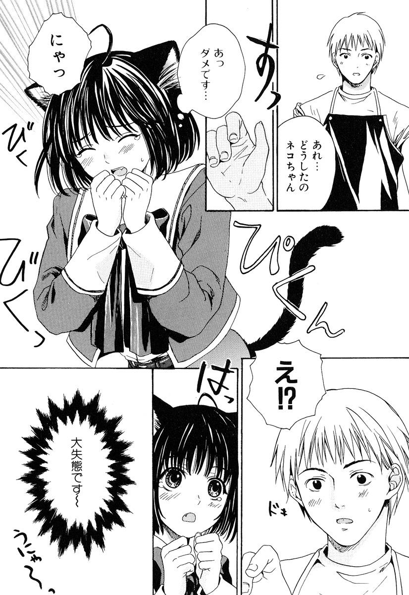 [Miyashita Kitsune] Stop! Goshujin-sama - Stop! Master 97