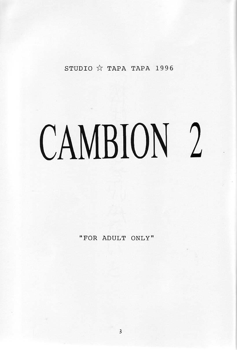 Cambion 2 4