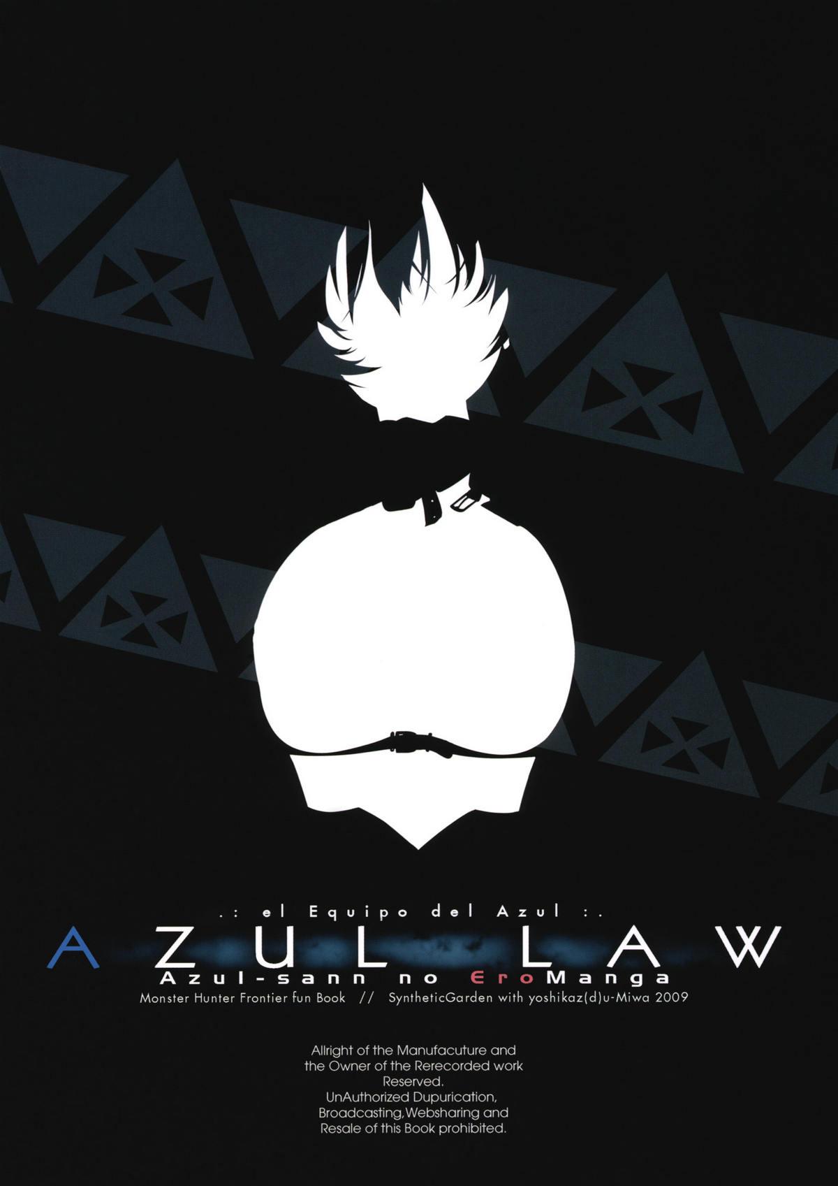 AZUL LAW 44