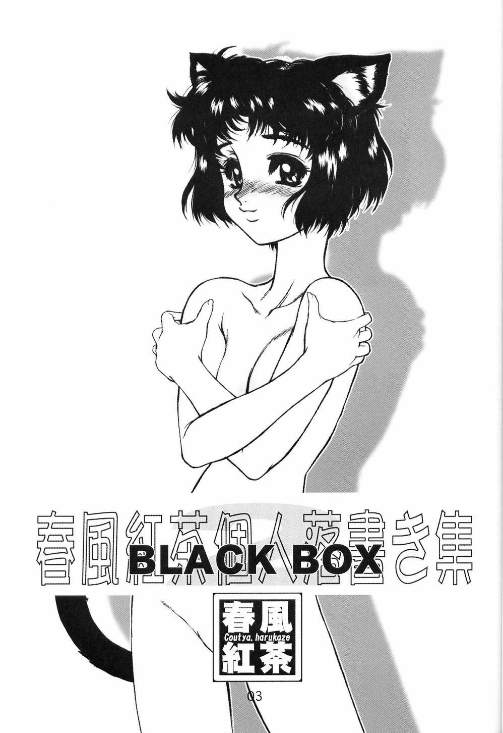 Chileno Akugou Sanmai Ni | BLACK BOX - Neon genesis evangelion Big Tits - Page 2