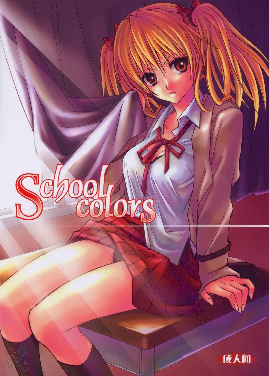 School colors 0