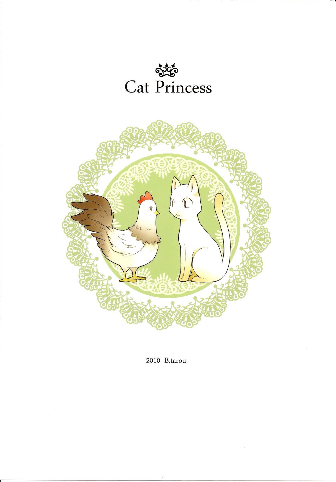 Cat Princess 29