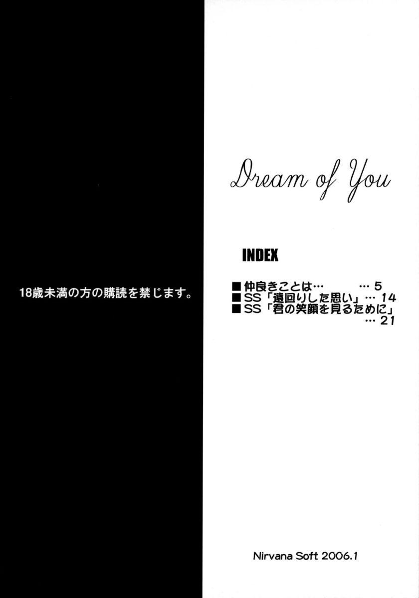Dream of You 1