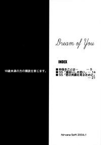 Dream of You 2