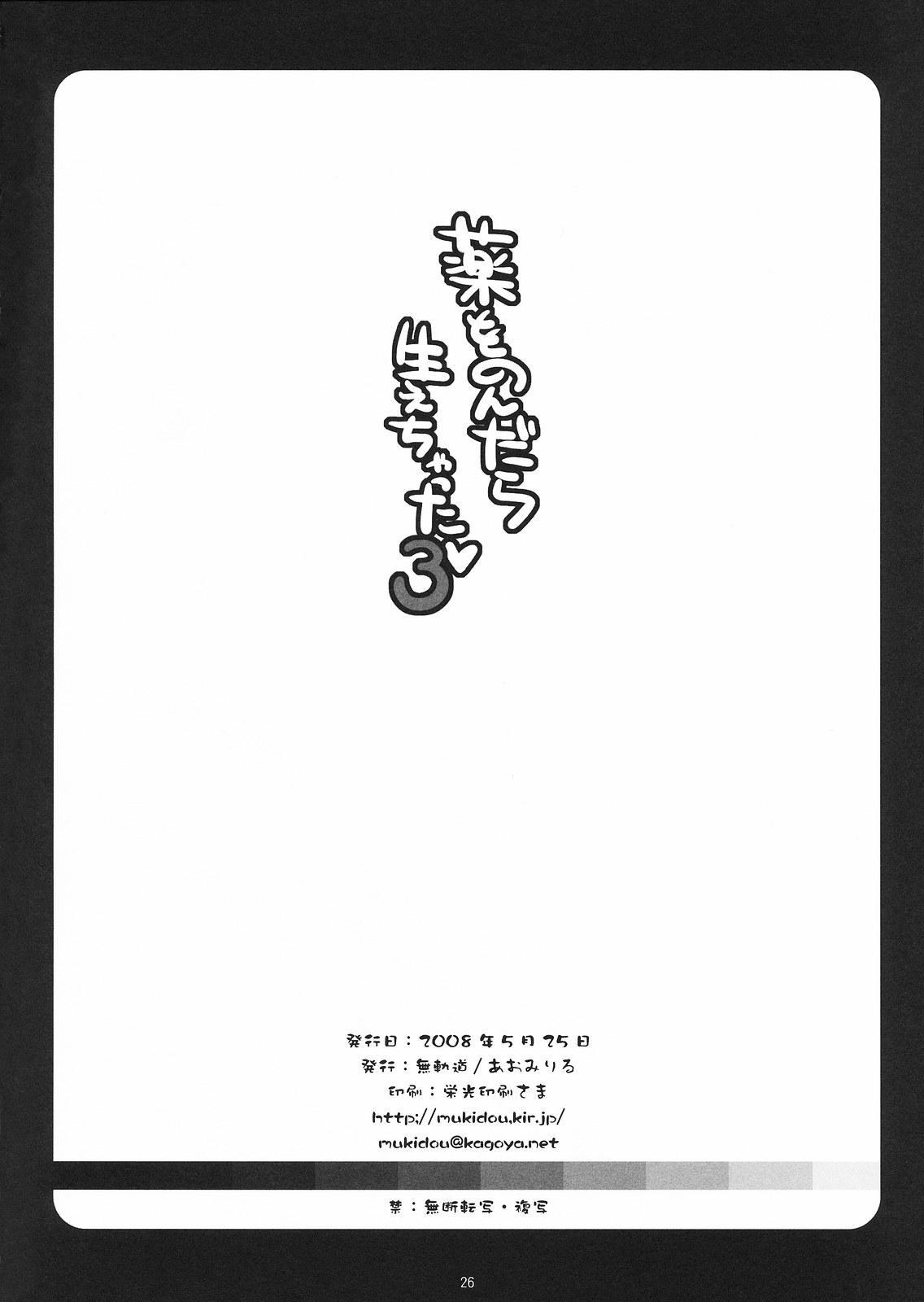 Van Kusuri wo Nondara Haechatta 3 - Touhou project Monster Dick - Page 25