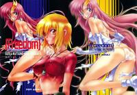 Shot Freedom Gundam Seed GhettoTube 1