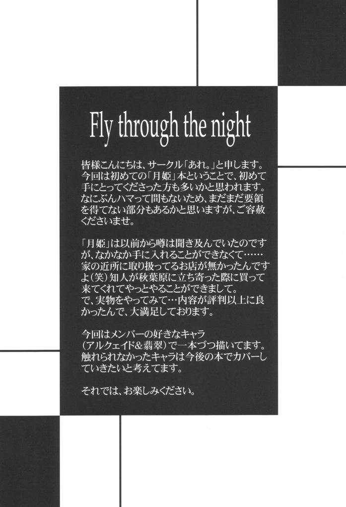 Fly through the night 2