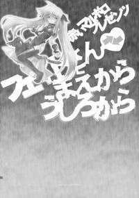 Fate-san ga Mae kara Ushiro kara 3