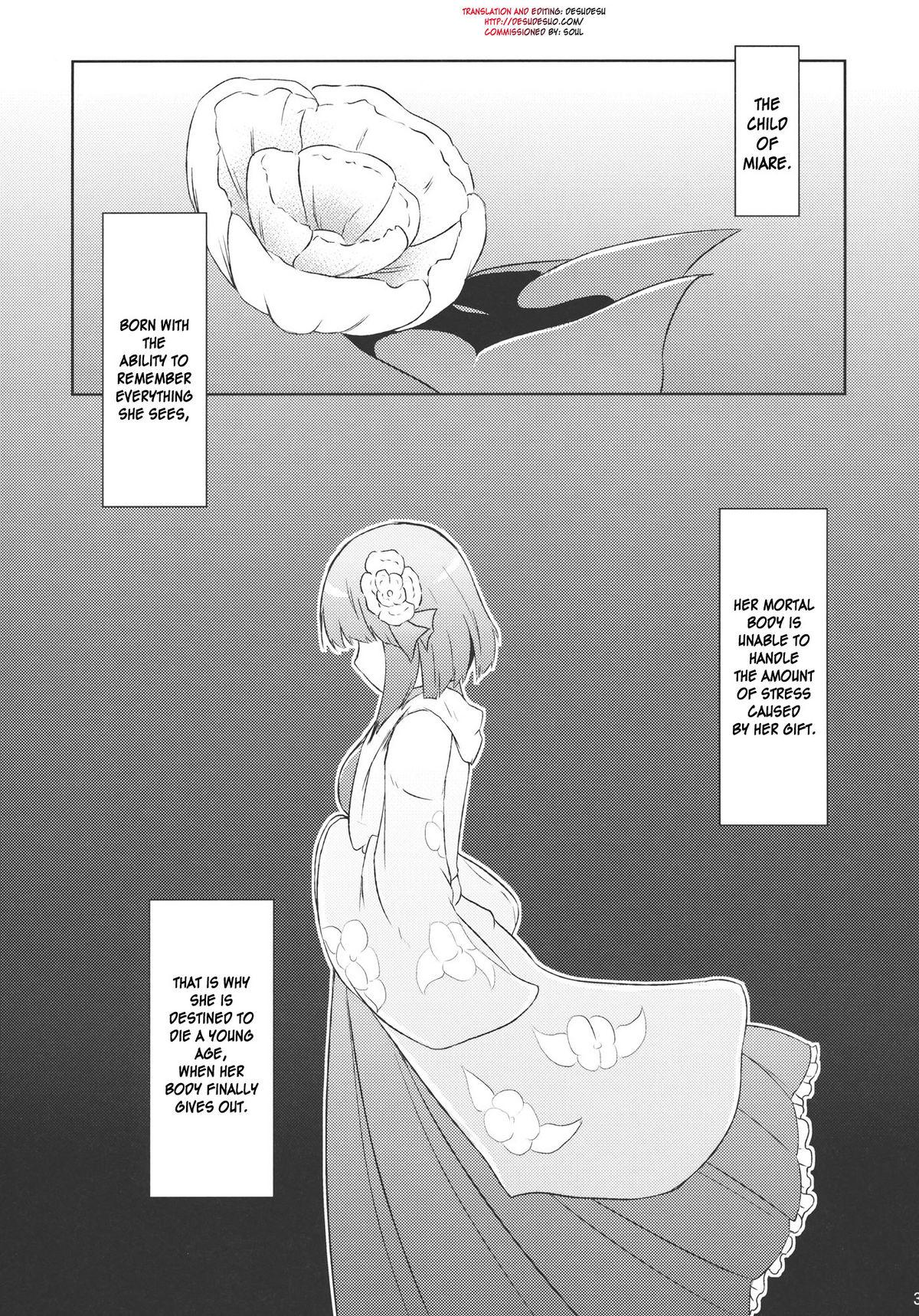 Amature Sex Tapes Hieda no Musume, Hatsujou su - Touhou project Russian - Page 3