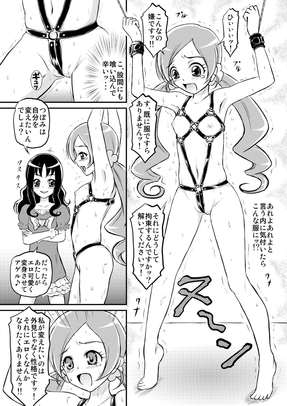 Nipple Kousui no Wana - Heartcatch precure Amateur - Page 3