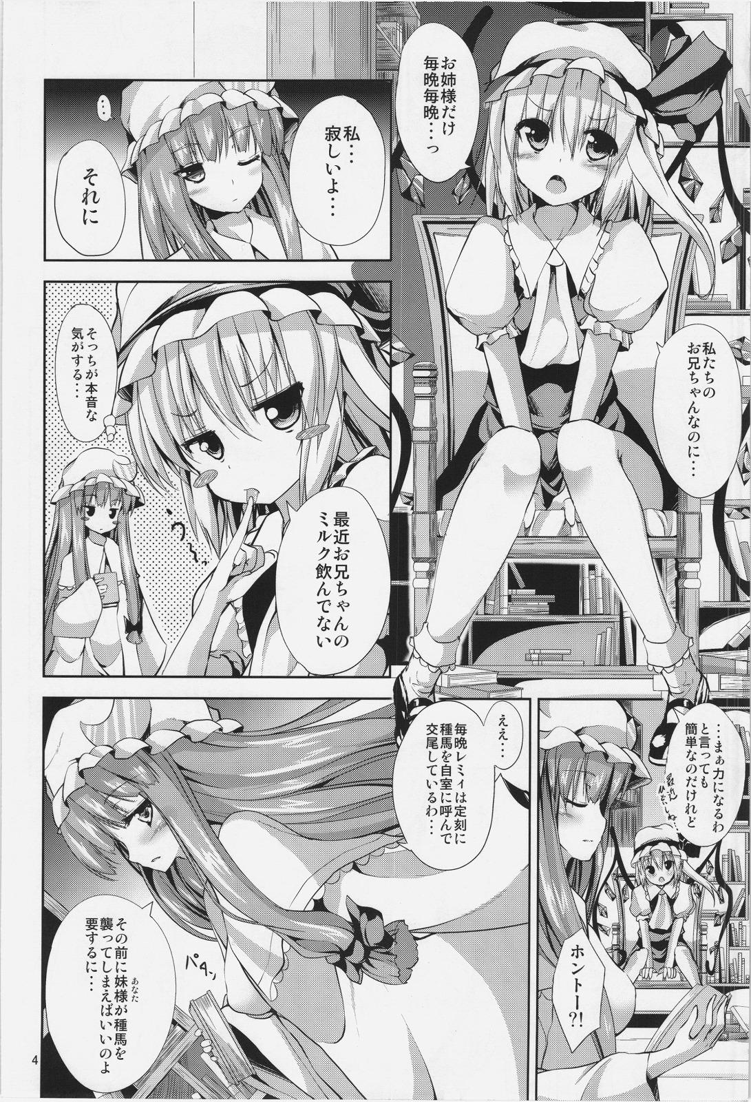 Private Sex Midnight Scarlet - Touhou project Nena - Page 4