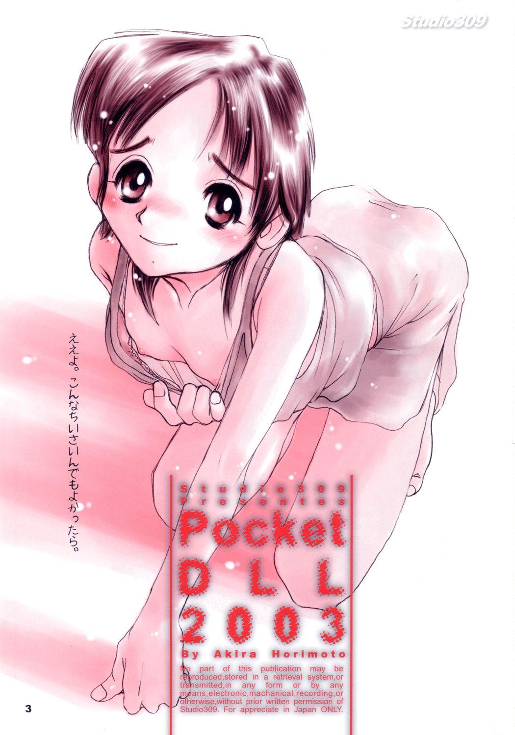 Pocket Dll 1
