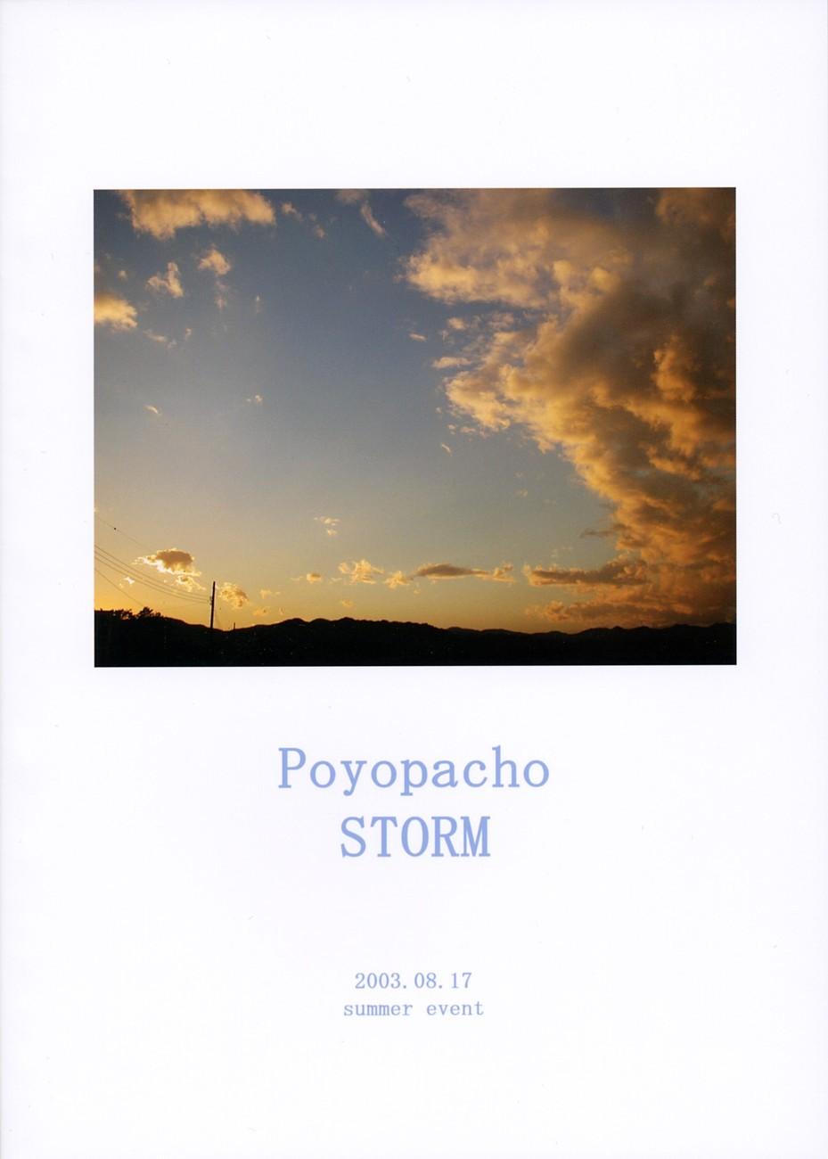 Poyopacho STORM 31